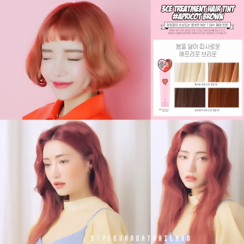 3CE Treatment Hair Tint