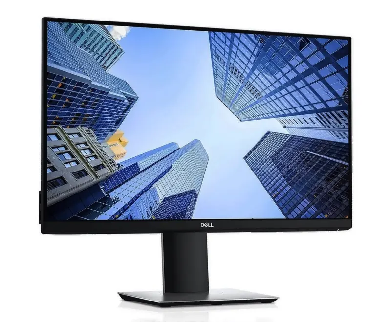 Dell P2419H