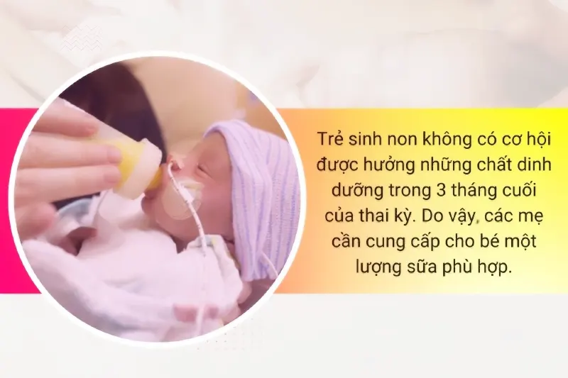 Sữa cho trẻ sinh non