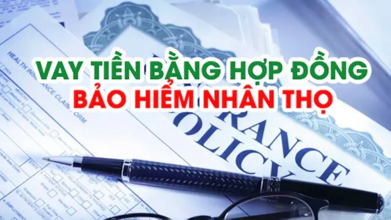 Vay tiền nhanh Hà Nội theo hợp đồng bảo hiểm