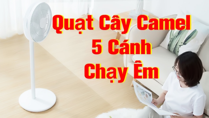 Top 10 quạt cây đẹp chạy êm và tốt nhất nên mua năm 2024