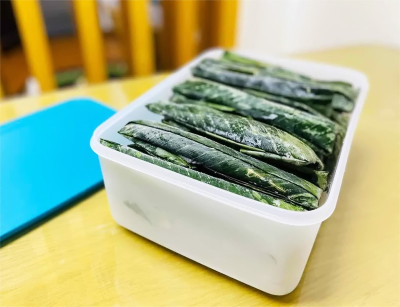 Hộp trữ mát trữ đông Tupperware - Có tốt không?