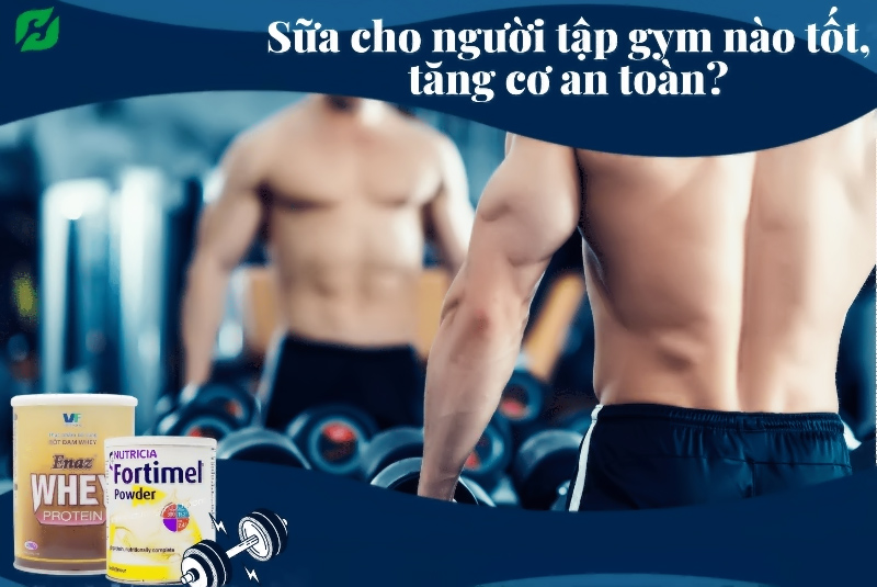 Top 10+ sữa tăng cơ cho người tập gym tốt nhất hiện nay