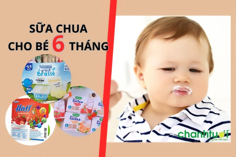 Review top 5 loại sữa chua cho bé 6 tháng bổ dưỡng