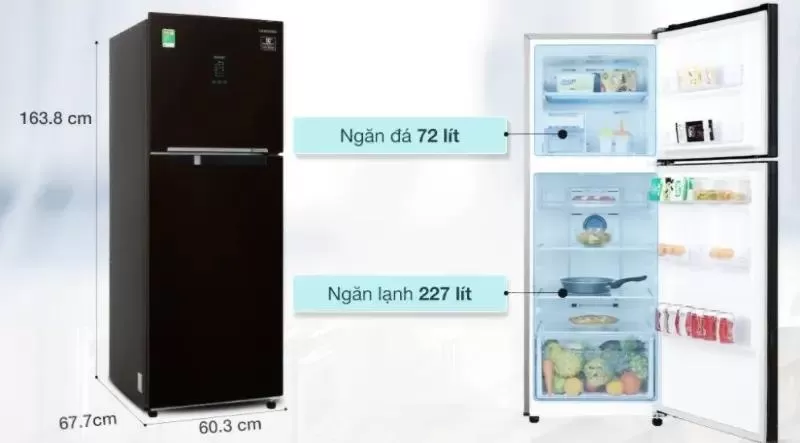 Tủ lạnh hai cửa Samsung RT29K5532BU Twin Cooling Plus 308L