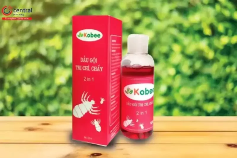 Dầu gội trị chấy Kobee