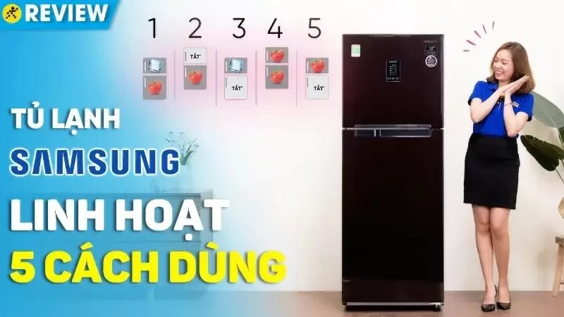 Tủ lạnh hai cánh Samsung RT29K5532BY Twin Cooling Plus 308L