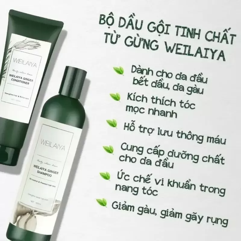 Dầu gội trị rụng tóc Weilaiya Ginger Shampoo