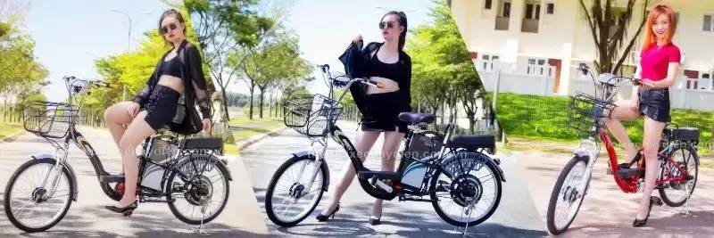 Xe đạp điện BMX vành 22