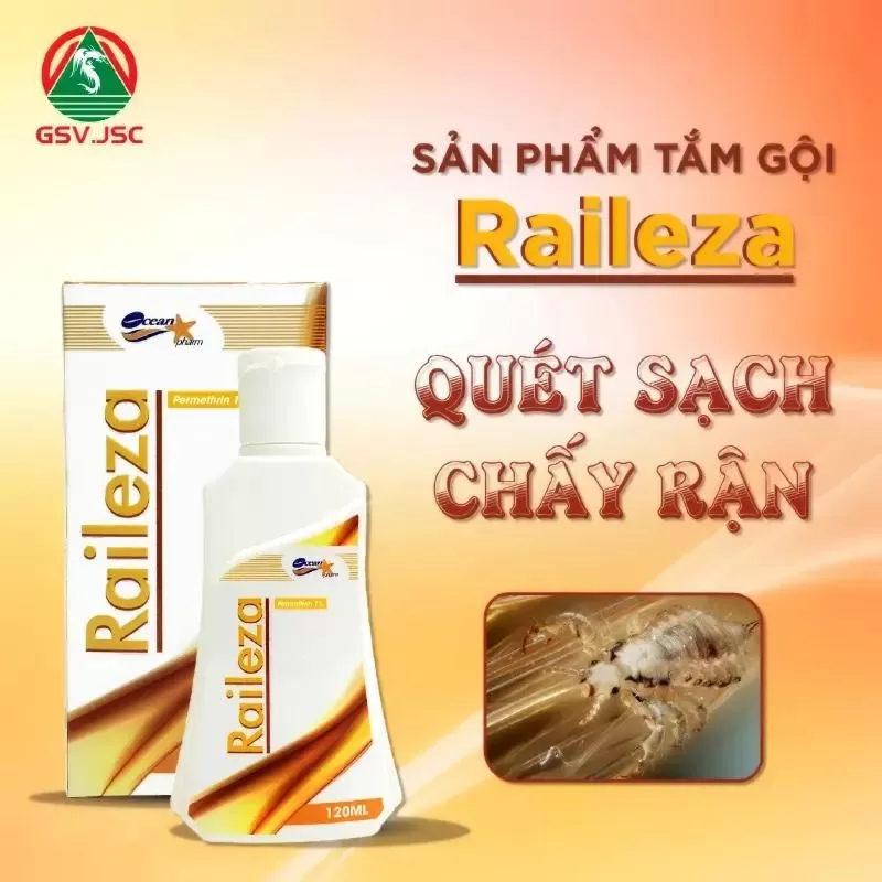 Dầu gội trị chấy Raileza