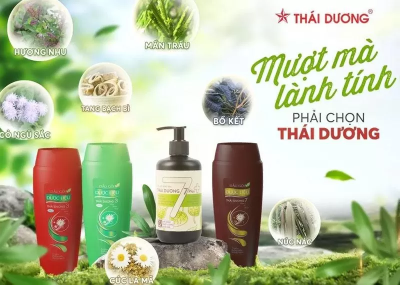 Dầu gội dược liệu trị gàu mượt tóc Thái Dương 3