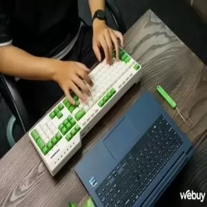 885658496162.webp