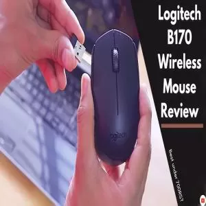 907552865949.webp